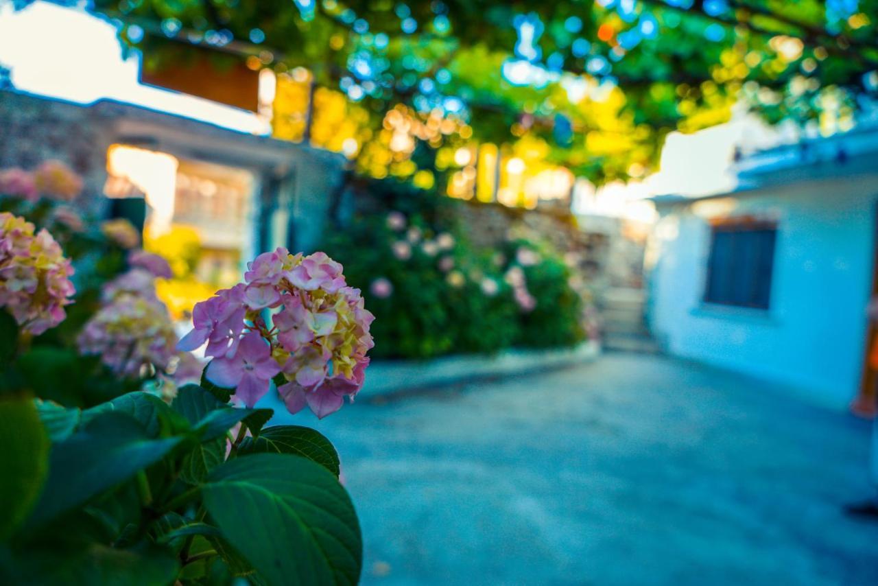 The Fir Gate Hotel Gjirokaster Exterior photo
